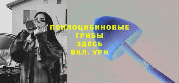 молекула духа Аркадак