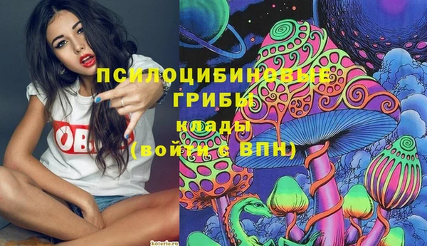 соль ск Арсеньев