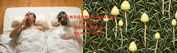 2c-b Баксан