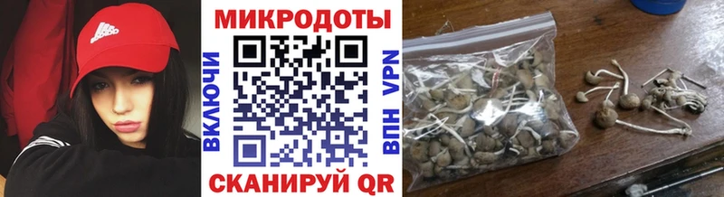 как найти закладки  Раменское  Галлюциногенные грибы Psilocybe 